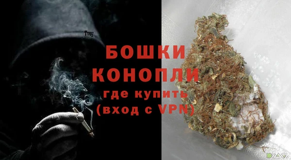 ешки Аркадак