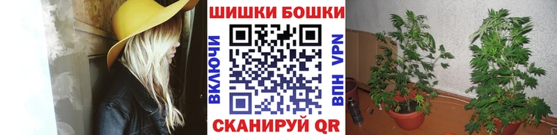 Бошки марихуана конопля Колпашево